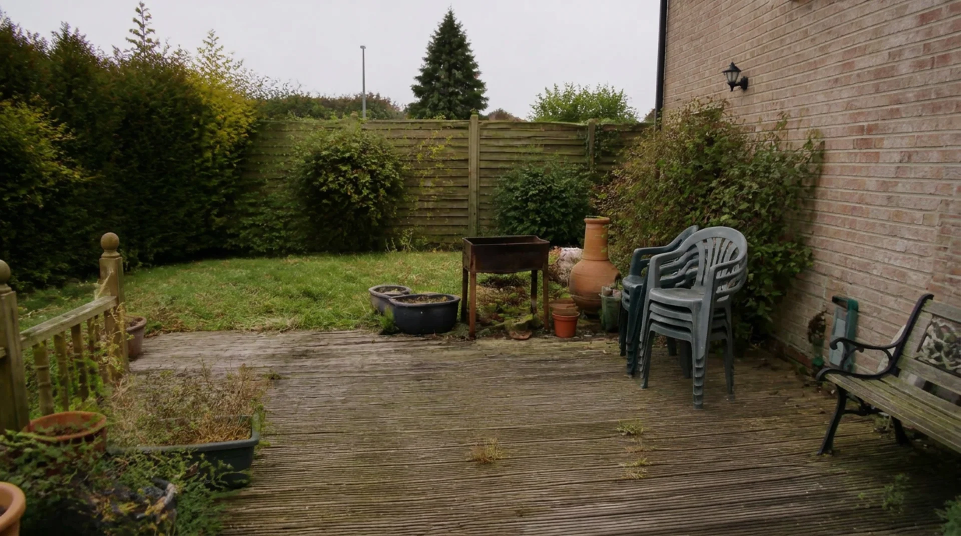 Half of the backyard clutter already removed by AI