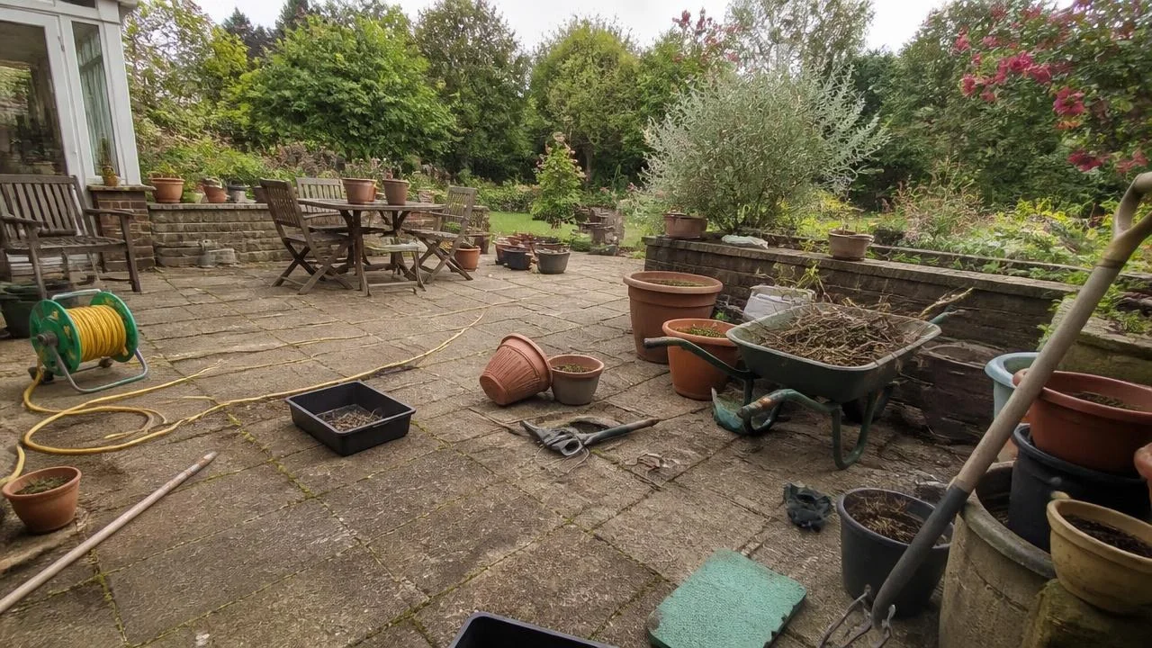 AI Landscape Renovation before