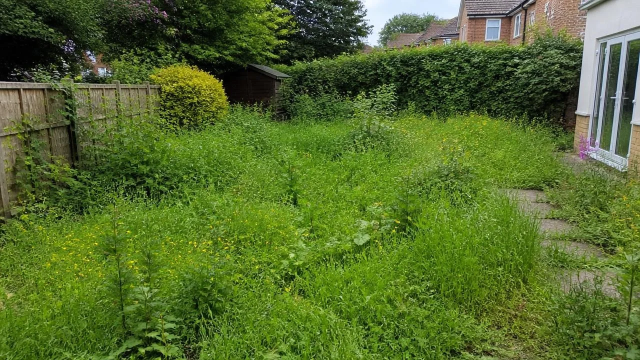 AI Clear Outdoor Space before